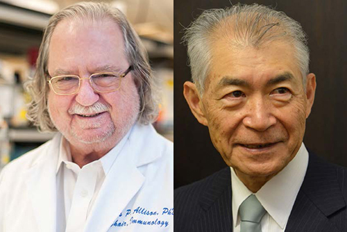 James P. Allison ochTasuko Honjo står för forskning som har lett till banbrytande insatser inom cancerforskning och behandling. Foto: Shutterstock